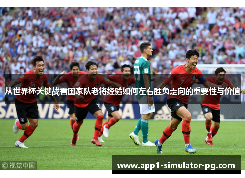 从世界杯关键战看国家队老将经验如何左右胜负走向的重要性与价值